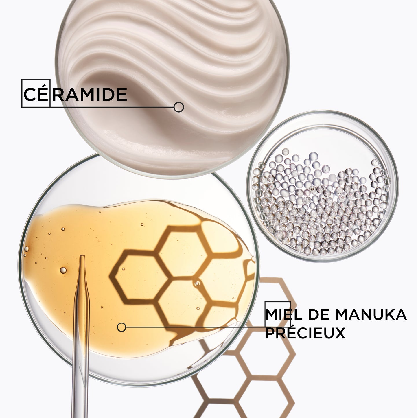 Coffret de printemps Curl Manifesto