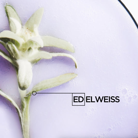 BLOND ABSOLU - Sérum Cicaplasme