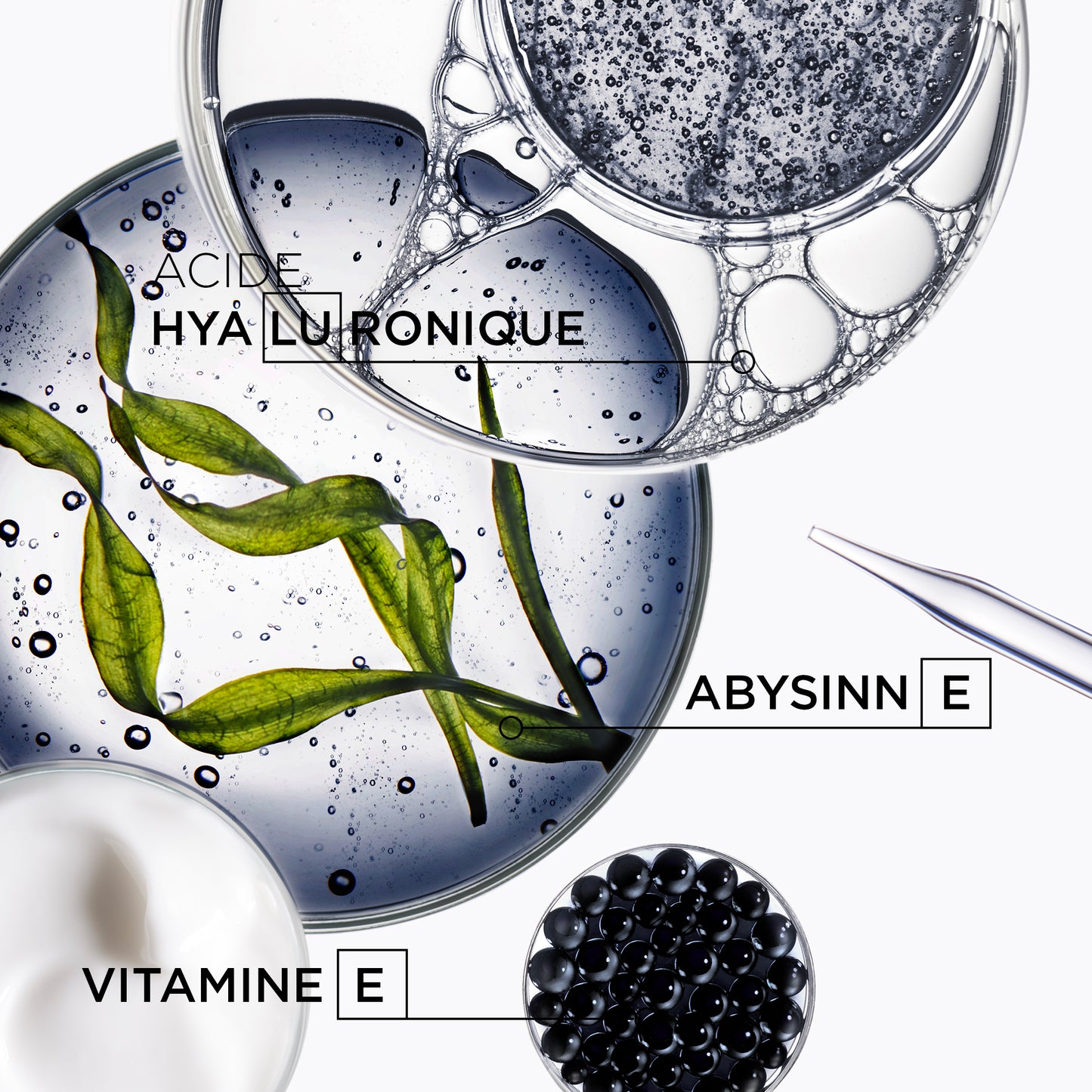 CHRONOLOGISTE - Thermique Régénérant