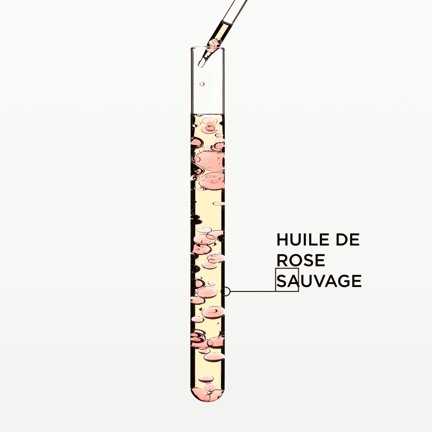 GLOSS ABSOLU- Huile Glaze Drops