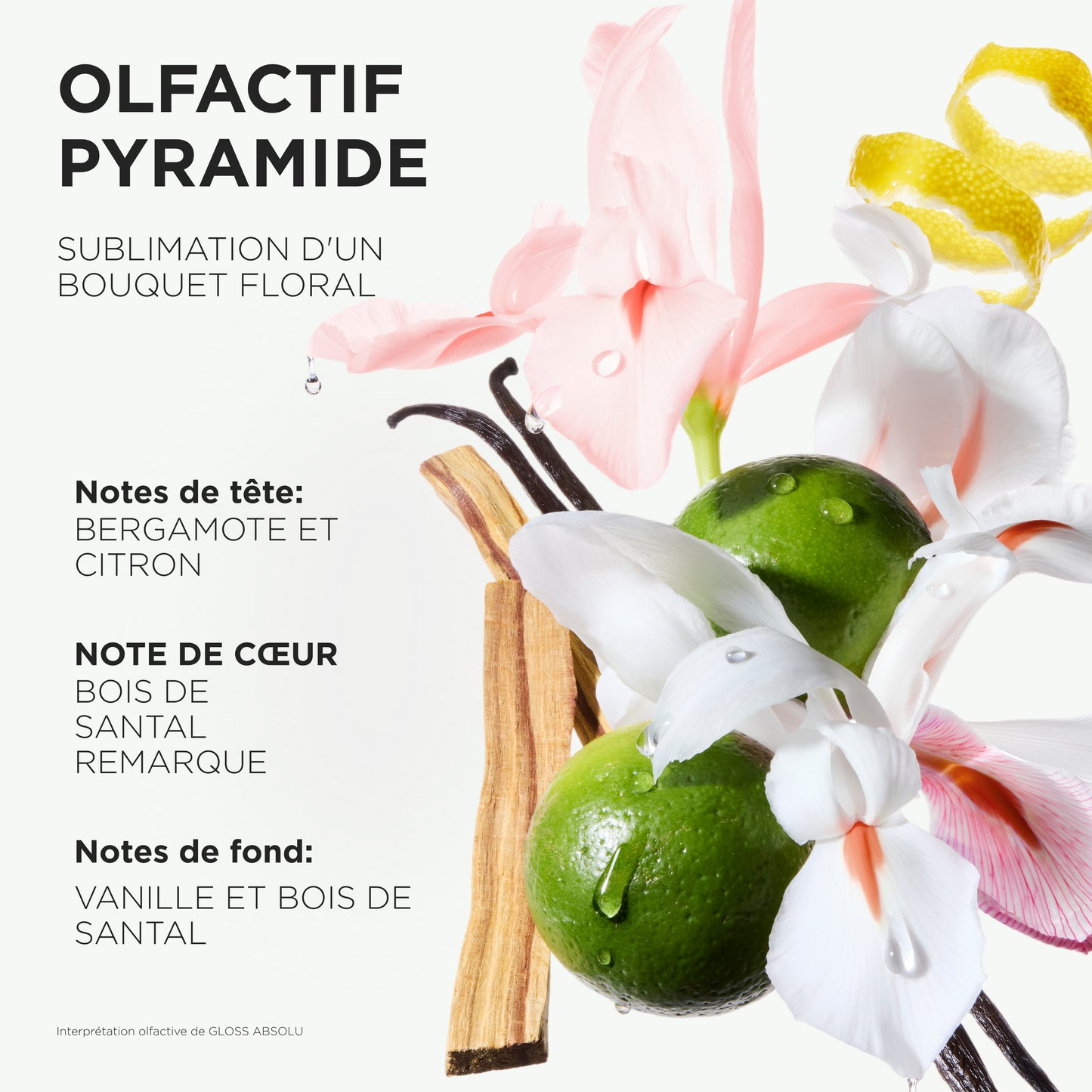 Gloss Absolu - Frizz-Glaze Crème