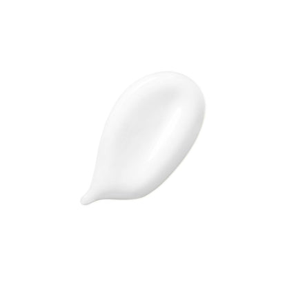 DISCIPLINE - Fondant Fluidealiste