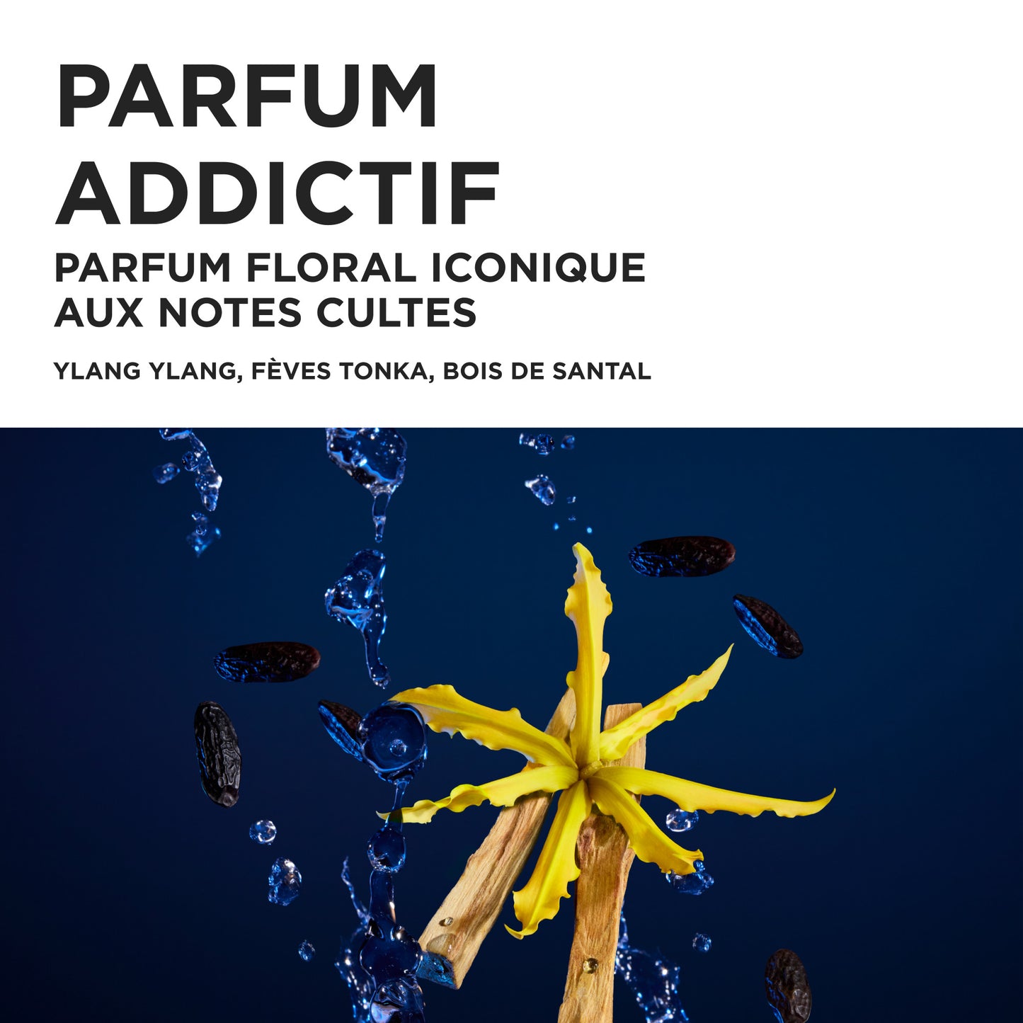 Coffret de printemps Nutritive