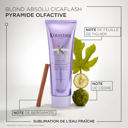 BLOND ABSOLU - Fondant Cicaflash