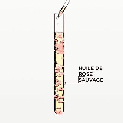 GLOSS ABSOLU- Huile Glaze Drops